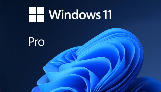 Licence Windows 11 Pro